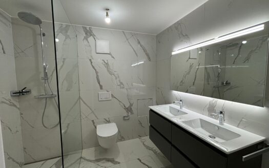 Belfaux – Spacieux studio à louer