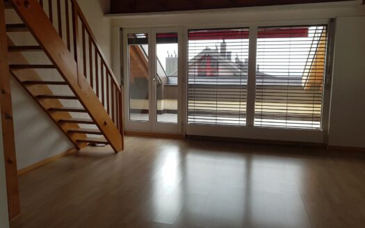 INS – 3,5 Zimmer-Wohnung zu vermieten