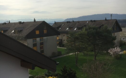 INS – 3,5 Zimmer-Wohnung zu vermieten