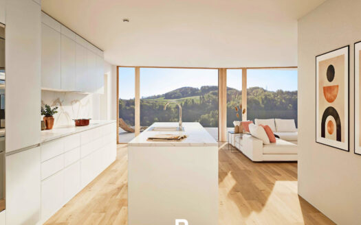 ROSSENS – Appartement duplex de 3.5 pièces d’exception