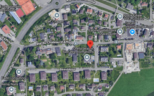 GIVISIEZ – Appartement de 4.5 pièces avec permis en force !