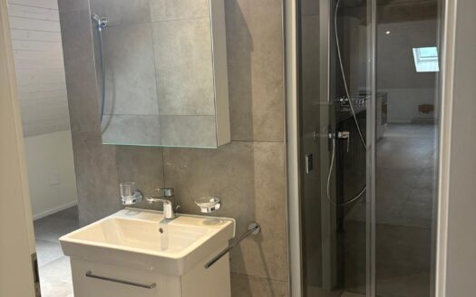 Bulle – Magnifique loft de 85 m2 au 3ème étage à louer