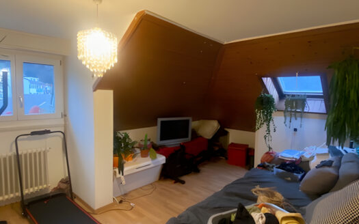 Charmey – Charmant 4 pièces à louer