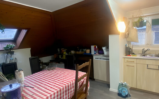 Charmey – Charmant 4 pièces à louer