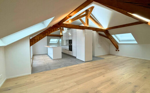 Bulle – Magnifique appartement à louer sous les combles