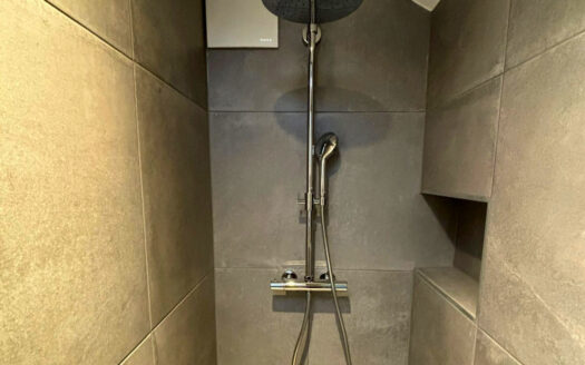 Bulle – Magnifique appartement à louer sous les combles