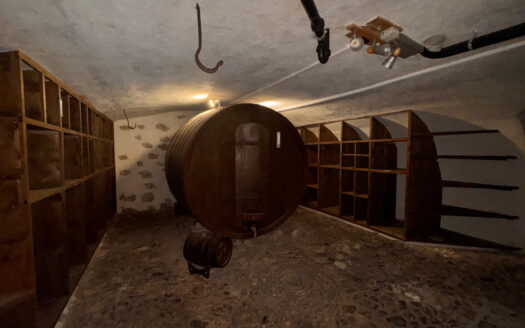 Lessoc – Charmant restaurant de village à louer