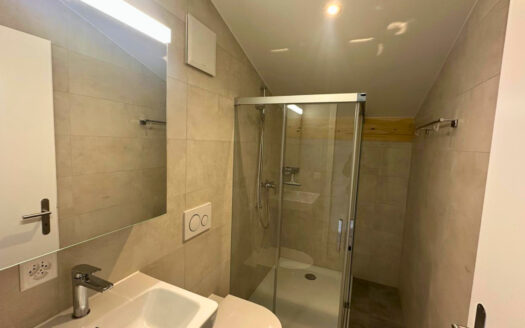 Charmey – Magnifique appartement de 4.5 pièces à louer