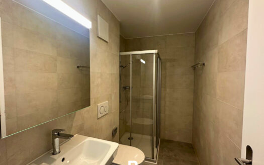 Charmey – Magnifique appartement de 4.5 pièces à louer