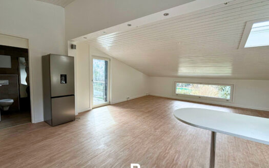 Charmey – Superbe appartement de 4.5 pièces à louer