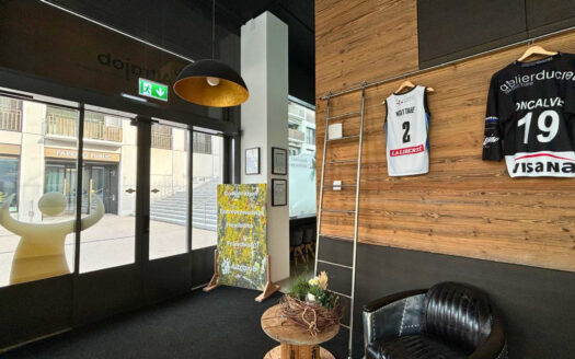 Bulle – Places de travail à louer