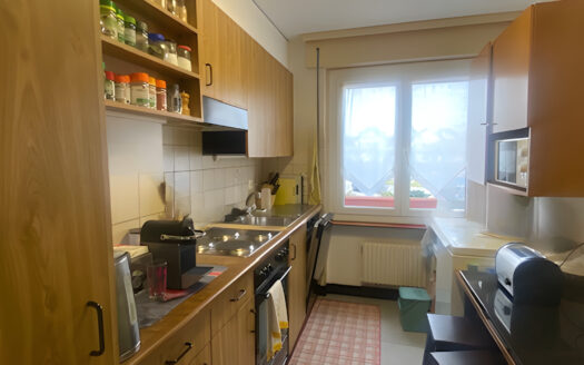 La tour de Trême – Charmant appartement de 3.5 pièces rénové à louer