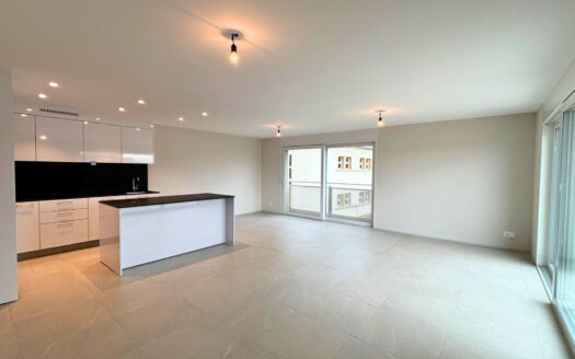 Broc – 2 magnifiques appartements de 3.5 pièces neufs à louer