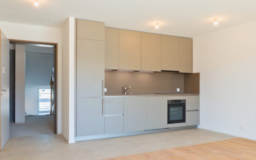 Angepasste 2.5-Zimmer-Wohnungen – Ecoquartier des Echervettes, Romont
