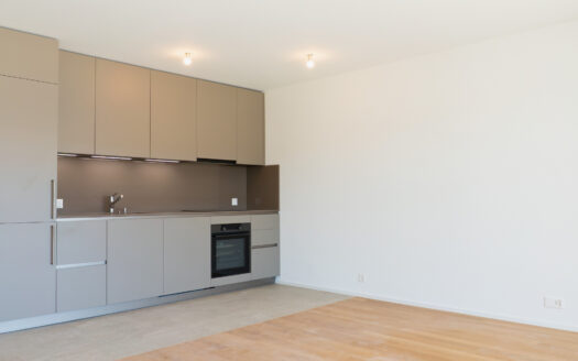 Appartements de 3.5 pièces – Ecoquartier des Echervettes, Romont