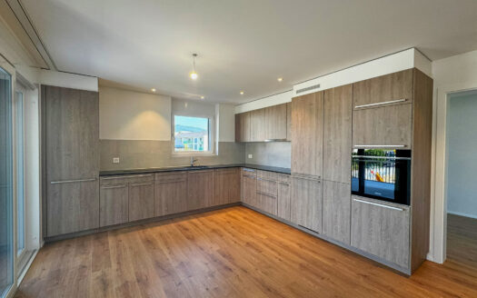 Echarlens – Magnifique appartement de 3.5 pièces neuf à louer